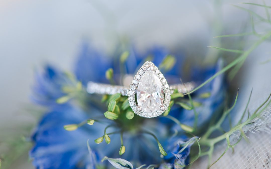 blog on getting engaged and what are the next steps to planning a wedding