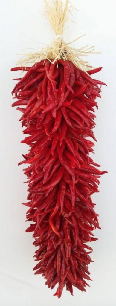 New Mexico Chile ristra. Chile ristra used for Wedding decoration and served as a delicious wedding food.