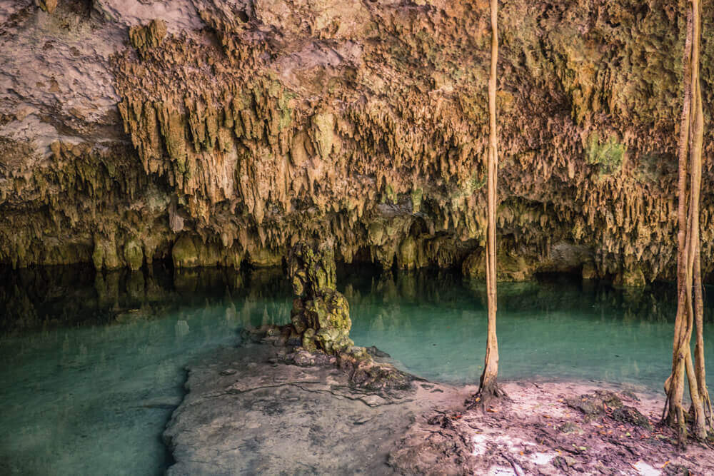 Cenote Pet Cemetery in Sistema Sac Actun tulum Mexico honeymoon ideas 