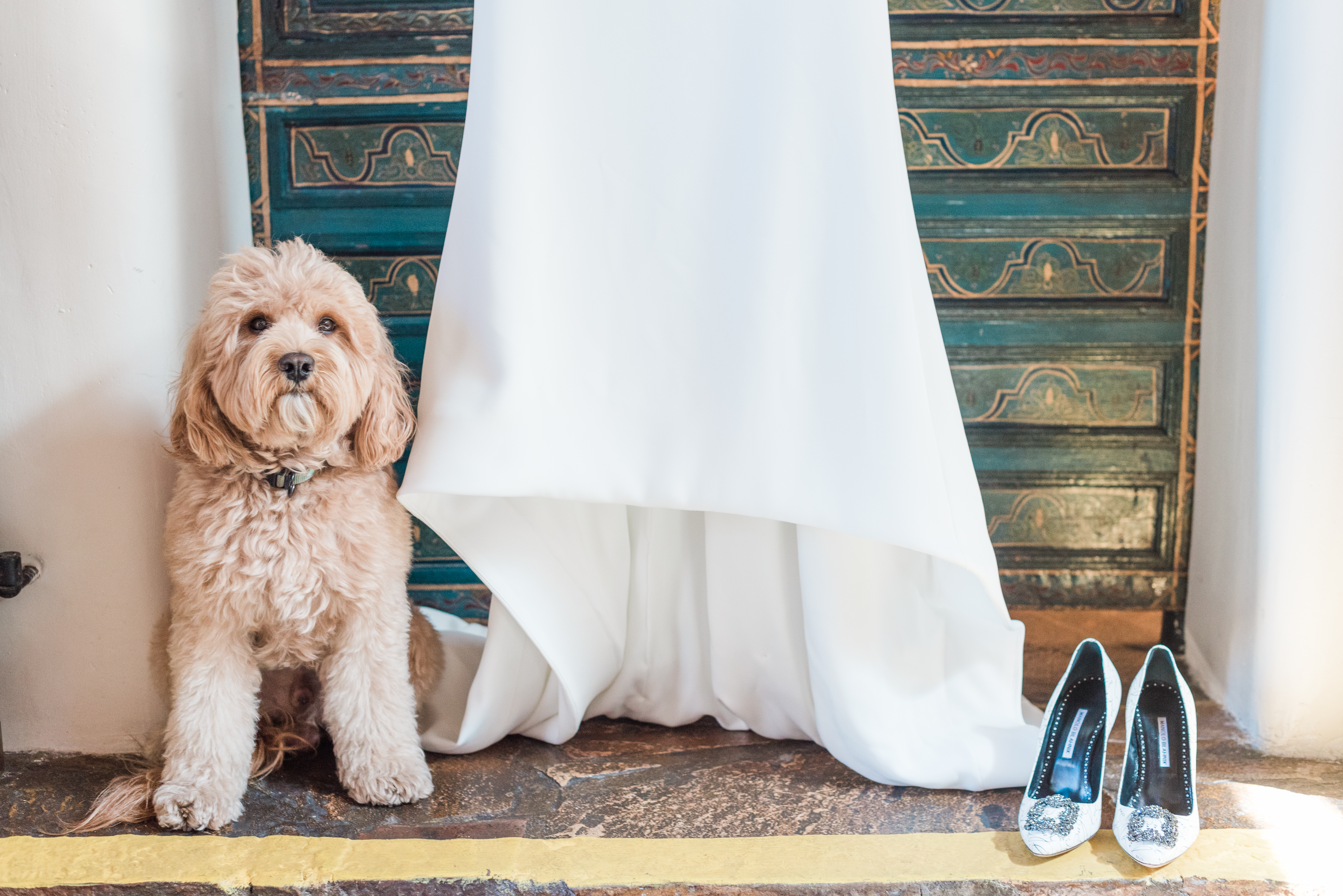 Inviting Your Pet to Your Wedding